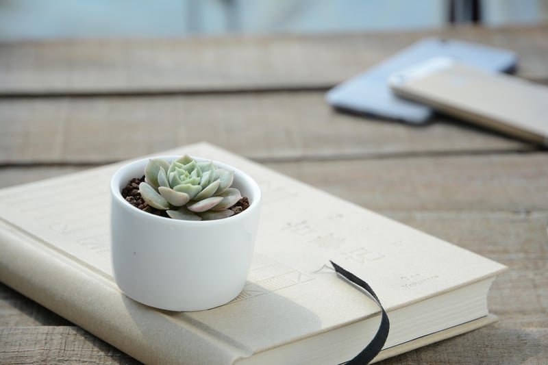 Plants in personalized containers